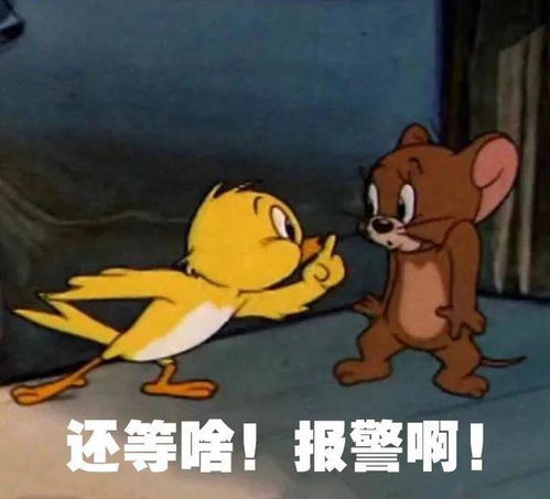  眉山一男子连撞两车后还想跑路,跑得脱才怪