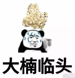  最近魔都街头这股不可描述的味道,因为太难闻