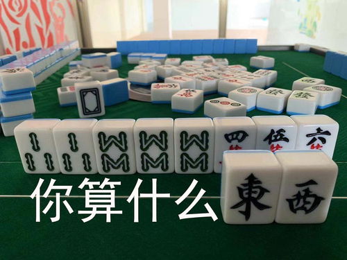  好烦,貌似遇到了学人精呜呜呜