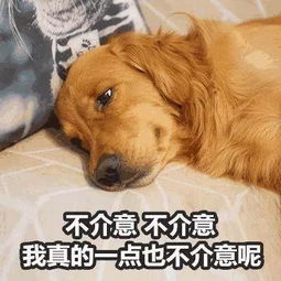  央视新闻4月新规来了与柳州老百姓的日常生活息息相关