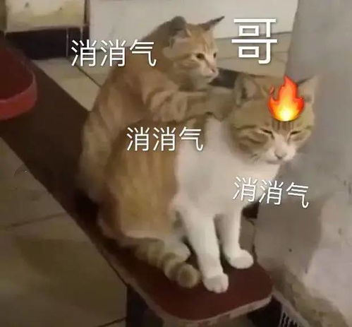  医生的蓝黑色水笔是一个很玄很神秘的东西