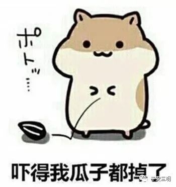  事发三明紧急提醒发红包138次,17万没了