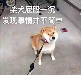 丢掉棒棒糖表情包时尚柴