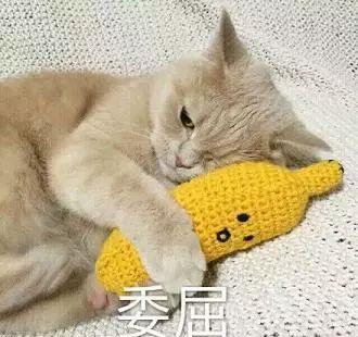  感动哭怎么可能,喵星人是没有感情的吃饭机器好吗
