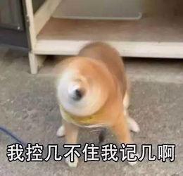  铜管很闲弦乐很忙打击乐身兼数职一篇不正经的交响乐团指南
