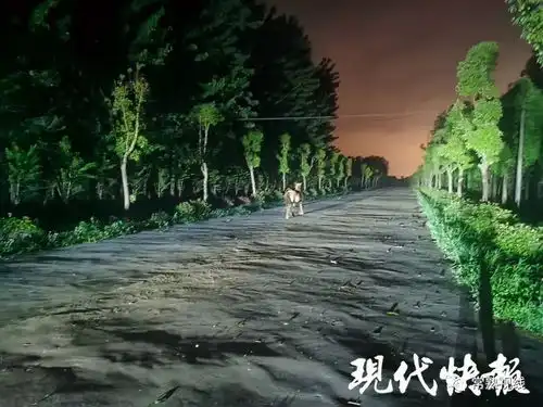 常熟滨江两匹马深夜出走,在赵市田里狂奔 常熟滨江两匹马深夜出走,在赵市田里狂奔