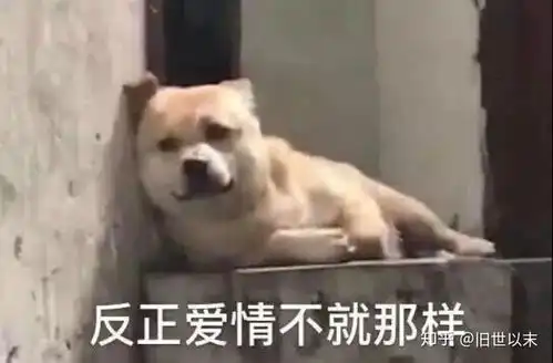  如何在和女生聊天中,植入幽默感