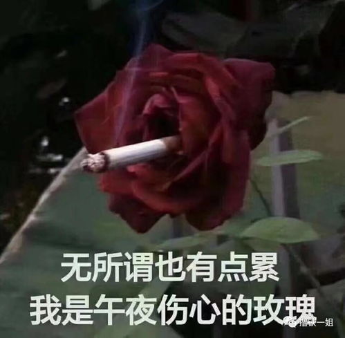 恶之花记者无语表情包鄙