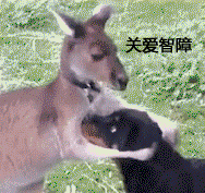  丁丁越大,真的对妹子越有吸引力吗