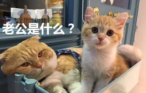  宝妈们的2018年年度关键词来啦,请查收