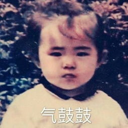  王祖贤童年照表情包疯传网友惊呼每个胖子都是潜力股