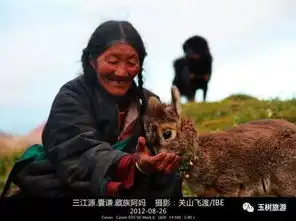 震撼视频来袭高山雪灵关山飞渡青藏高原探秘雪豹之旅 震撼视频来袭高山雪灵关山飞渡青藏高原探秘雪豹之旅
