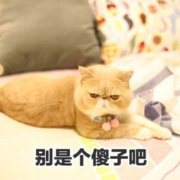  出来送妈斗图表情包原图精选201871斗图表情