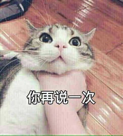  100分满分,每个多少分