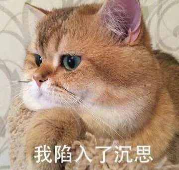  出国留学,是逃避高考,还是另一种选择