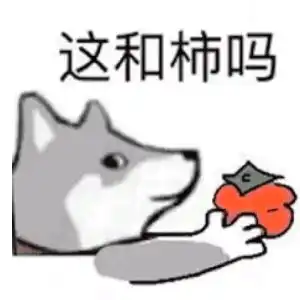 丸丸表情包表情包