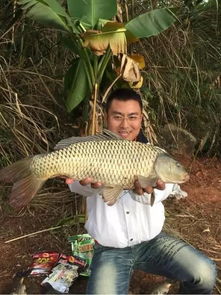  就这样钓鲤鱼