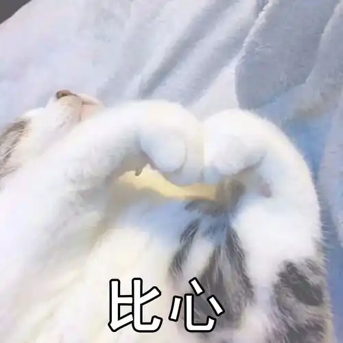 影视书籍 影视书籍