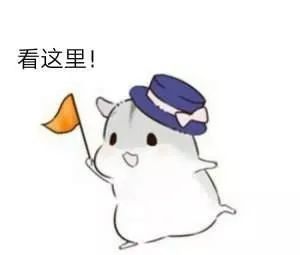  下月起,这些政策将落地影响不少廊坊人