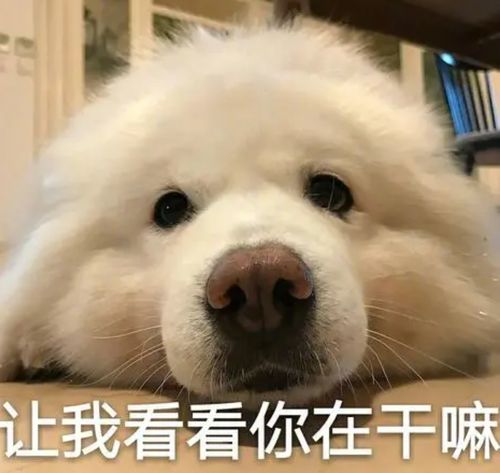  不止塞尔达switch平台5月新游推荐