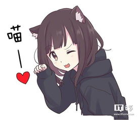 家友出笔记本嘛想收个笔记本玩玩 家友出笔记本嘛想收个笔记本玩玩