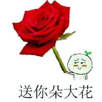  看见这朵花没表情包