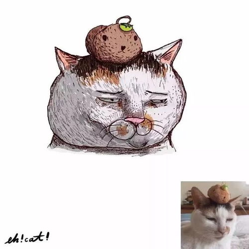 猫的表情包生无可恋橘猫