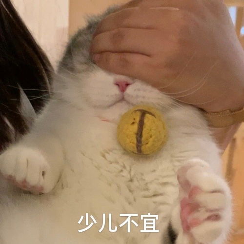  中了拖地猫的毒,太可爱了