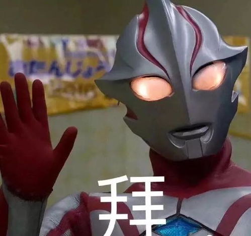  是谁知道我的生活内容过于真实了