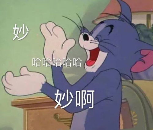  沙雕可爱的谐音梗文案