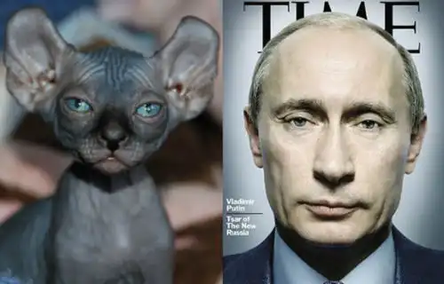 普京执政16年总统先生,您曾经的经济承诺呢 普京执政16年总统先生,您曾经的经济承诺呢