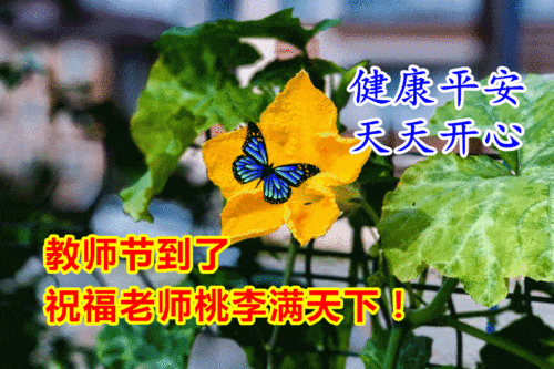 教师节温馨祝福所有老师们动态表情图片,2021最新有创意的教师节祝福语 教师节温馨祝福所有老师们动态表情图片,2021最新有创意的教师节祝福语