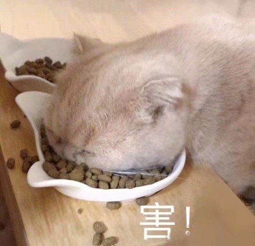  我觉得那个小风暴还可以诶