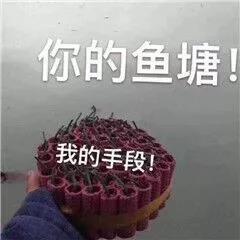  问世间情为何物没钱你就是废物图片你的鱼塘我的手段表情包图片下载乐游网游戏下载