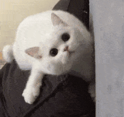 小心商家用这三个套路哄你办预付卡 小心商家用这三个套路哄你办预付卡