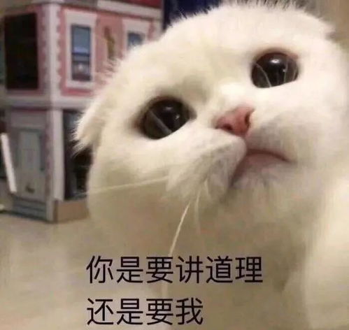  女生专用招桃花表情包