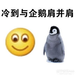 来一份瑟图表情包企鹅直