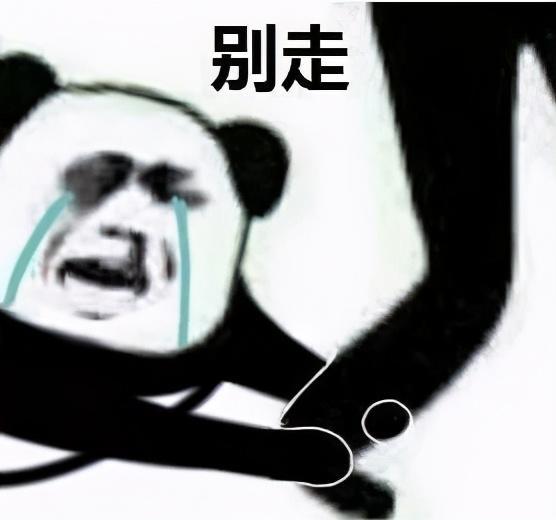  逆风跑者219章心流走马灯