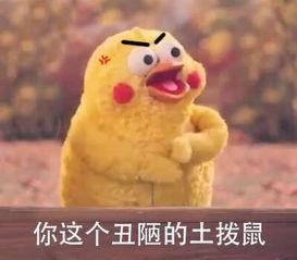  搞笑段子老公老公,船要翻了,快抱紧我某甲说要抱回家抱老婆大怒王忠