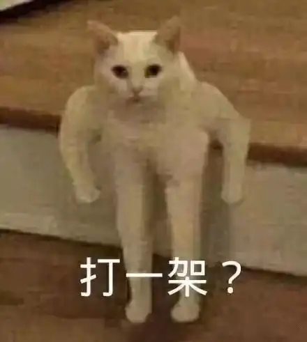 三亚会议你因一时冲动,干过什么沙雕的事 三亚会议你因一时冲动,干过什么沙雕的事