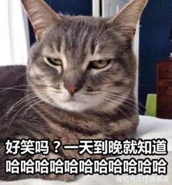  幽默笑话男人就应该要相信自己的实力