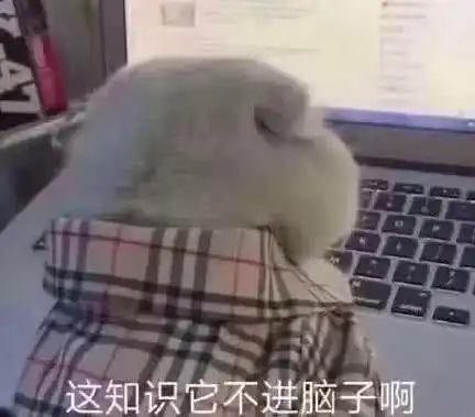 学生向市长举报自己老师网课背后,折射出的是父母的家庭教育 学生向市长举报自己老师网课背后,折射出的是父母的家庭教育