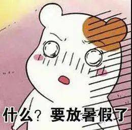  官宣郑州市中小学7月12日起放暑假