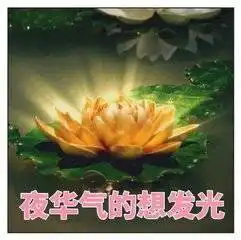 夜华表情包平安夜