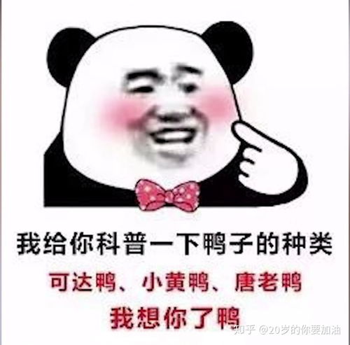  b站coderwhy老师半佛老师b站视频表情包整理