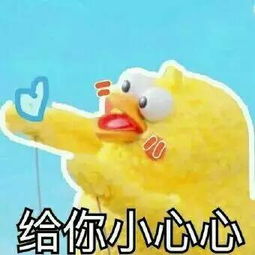 安慰奖表情包图片鹦鹉兄