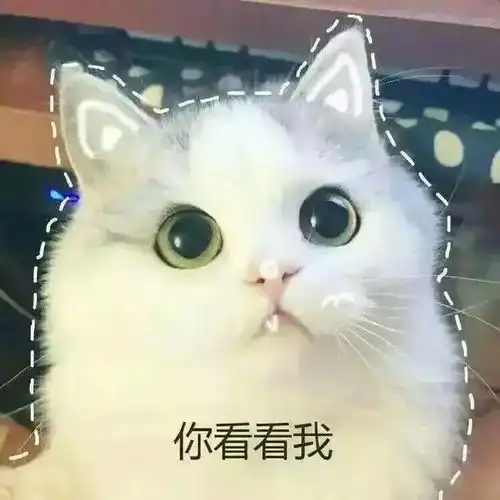  难道我不是丨第131期喵表情