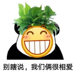  老公你怕不怕绿表情包