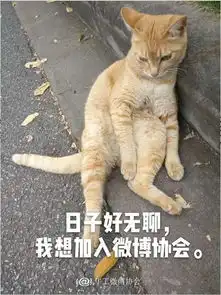 沙雕表情包如何快速驯服一只噬元兽 沙雕表情包如何快速驯服一只噬元兽