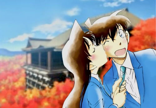  新兰cp发糖,有生之年知道你心里有我还不够吗